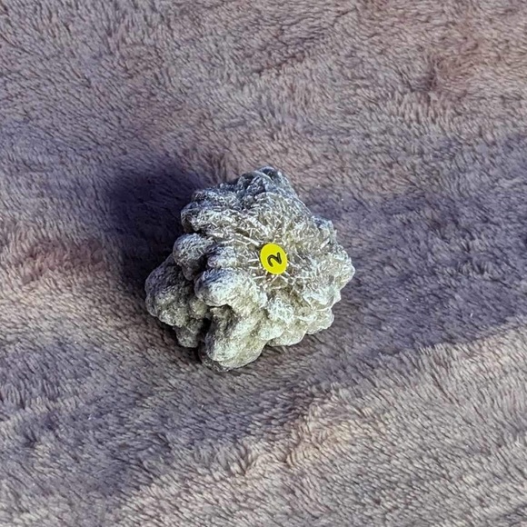 Desert Rose Piece(s) - Picture 6 of 10